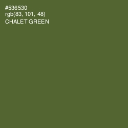 #536530 - Chalet Green Color Image