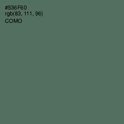 #536F60 - Como Color Image