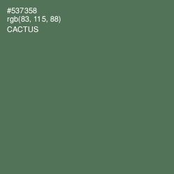 #537358 - Cactus Color Image