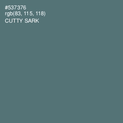 #537376 - Cutty Sark Color Image