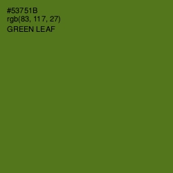 #53751B - Green Leaf Color Image