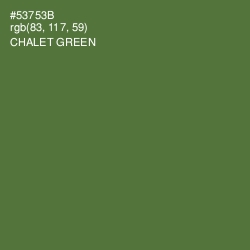 #53753B - Chalet Green Color Image