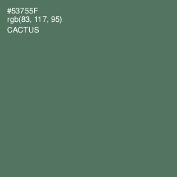 #53755F - Cactus Color Image