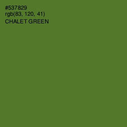 #537829 - Chalet Green Color Image