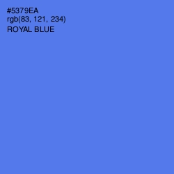 #5379EA - Royal Blue Color Image