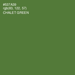 #537A39 - Chalet Green Color Image