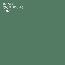 #537A63 - Como Color Image