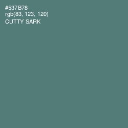 #537B78 - Cutty Sark Color Image
