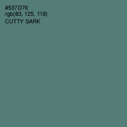 #537D76 - Cutty Sark Color Image