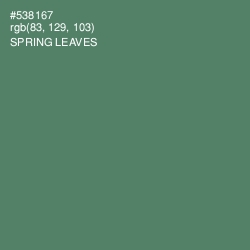 #538167 - Spring Leaves Color Image