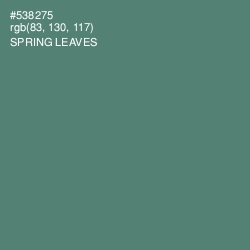 #538275 - Spring Leaves Color Image