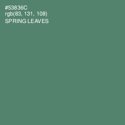 #53836C - Spring Leaves Color Image