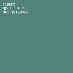 #538376 - Spring Leaves Color Image