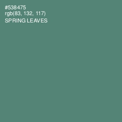 #538475 - Spring Leaves Color Image