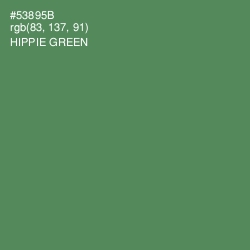 #53895B - Hippie Green Color Image