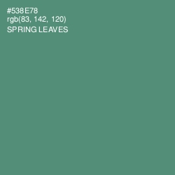 #538E78 - Spring Leaves Color Image