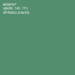 #538F6F - Spring Leaves Color Image