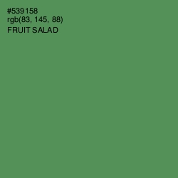 #539158 - Fruit Salad Color Image