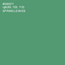 #539971 - Spring Leaves Color Image