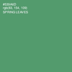 #539A6D - Spring Leaves Color Image