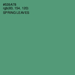 #539A78 - Spring Leaves Color Image