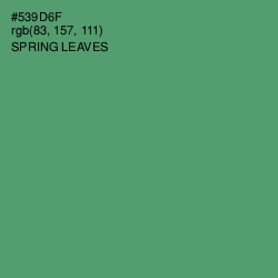 #539D6F - Spring Leaves Color Image