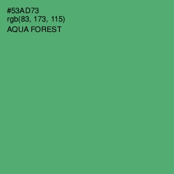 #53AD73 - Aqua Forest Color Image