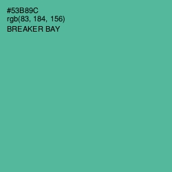 #53B89C - Breaker Bay Color Image