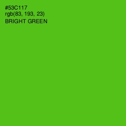 #53C117 - Bright Green Color Image