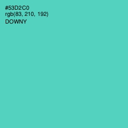 #53D2C0 - Downy Color Image
