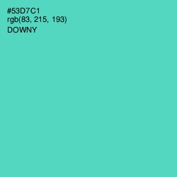 #53D7C1 - Downy Color Image