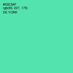 #53E3AF - De York Color Image