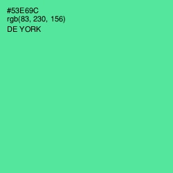 #53E69C - De York Color Image