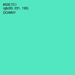 #53E7C1 - Downy Color Image