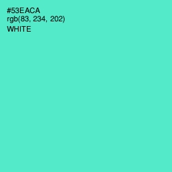 #53EACA - Viking Color Image