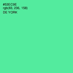 #53EC9E - De York Color Image