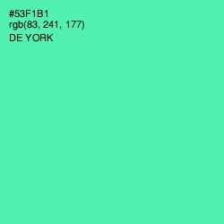 #53F1B1 - De York Color Image