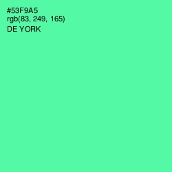 #53F9A5 - De York Color Image