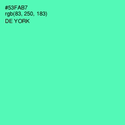 #53FAB7 - De York Color Image