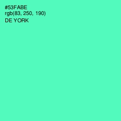 #53FABE - De York Color Image