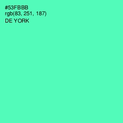 #53FBBB - De York Color Image