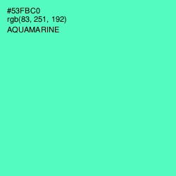 #53FBC0 - Aquamarine Color Image