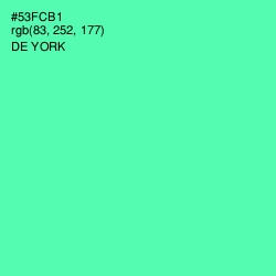 #53FCB1 - De York Color Image