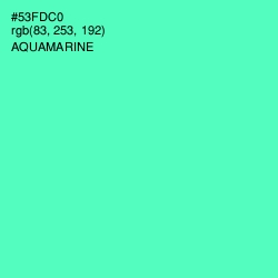 #53FDC0 - Aquamarine Color Image