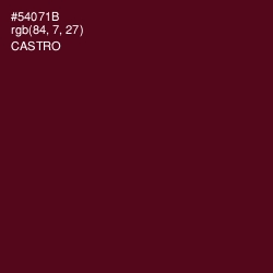 #54071B - Castro Color Image