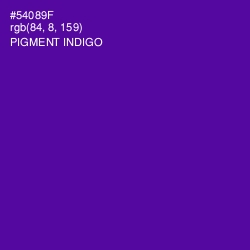 #54089F - Pigment Indigo Color Image