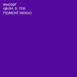 #54099F - Pigment Indigo Color Image