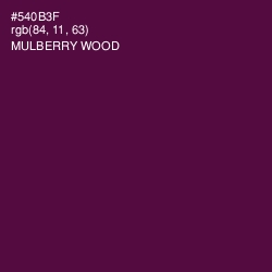 #540B3F - Mulberry Wood Color Image