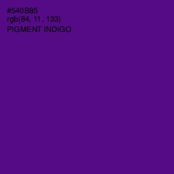 #540B85 - Pigment Indigo Color Image