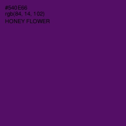 #540E66 - Honey Flower Color Image